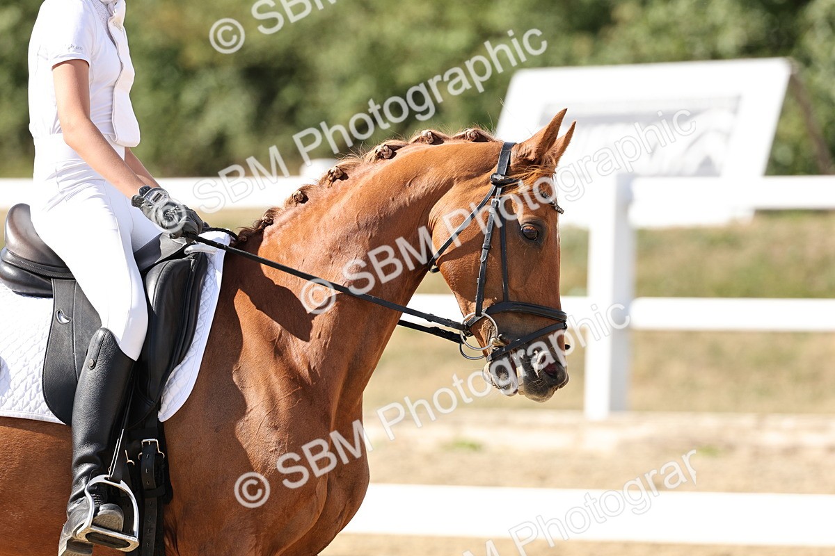 SBM_003995