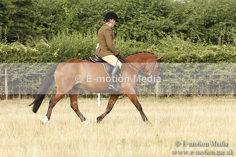 _BS_0418 - BVRC Show 2018 Ring 3