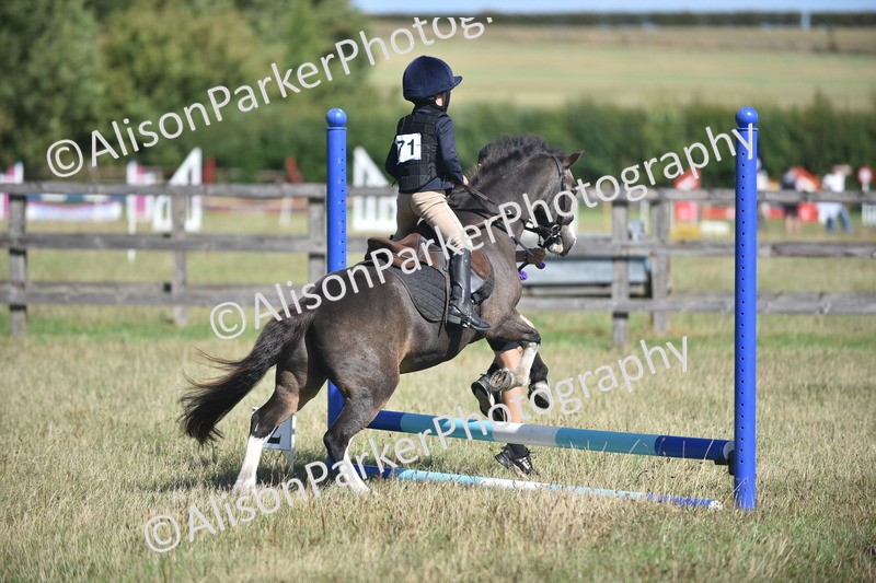 20260906-1424 - Class 8 - Hoof and Foot