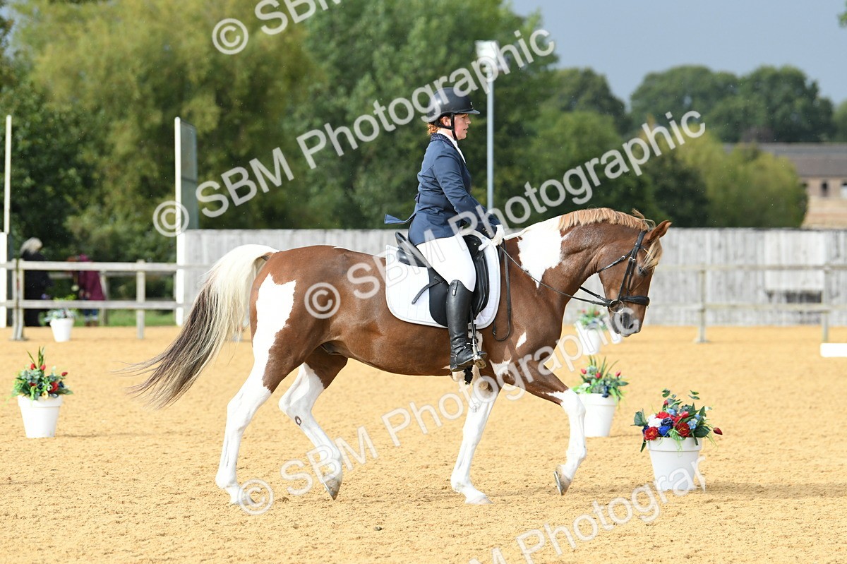 SBM_11072 - D28 Elementary Taster Elementary 42