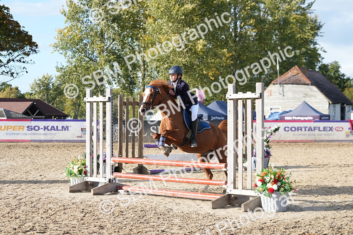 SBM_51159 - J8 - Junior Pony 65cm Championship