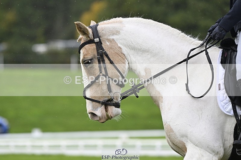 251023A-133928-04124 - D-324-Clare.Pascoe