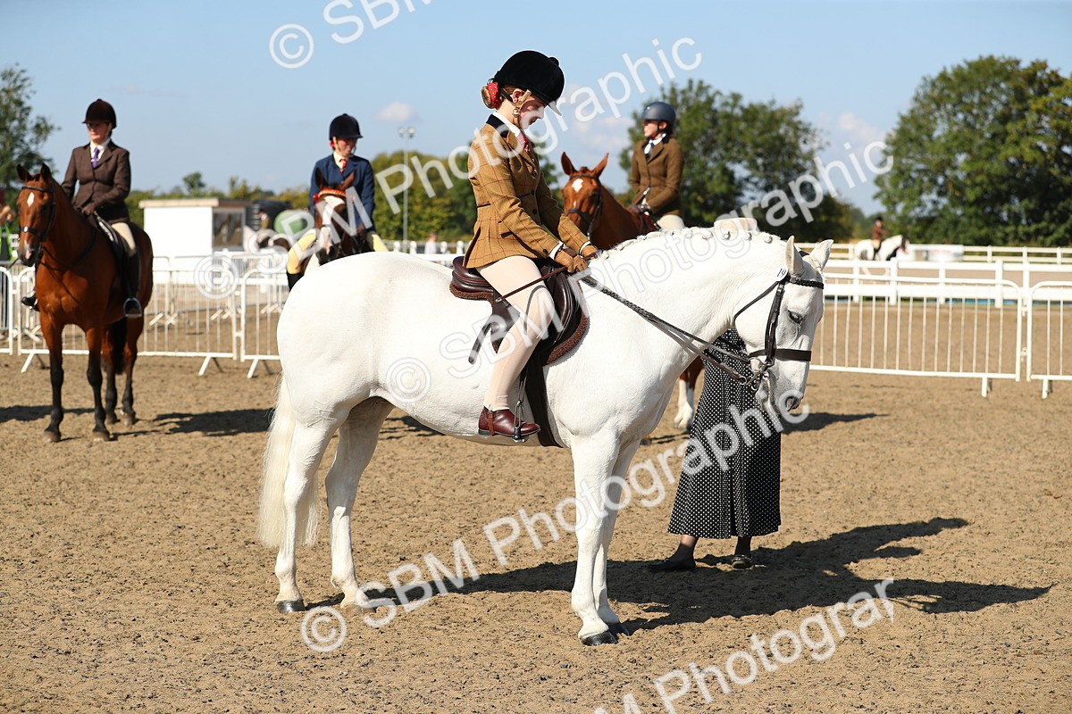 SBM_02306 - Class 43 Ridden Competition Horse/Pony