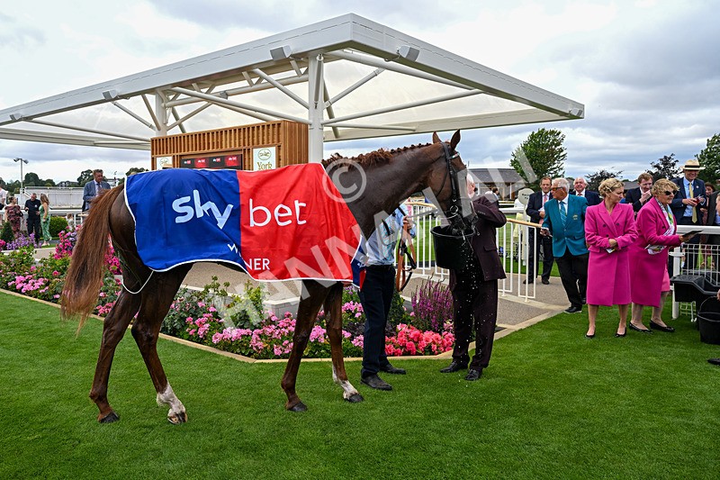 250726-Race 3-Item-0335 - Race 3 14.35pm Sky Bet York Stakes