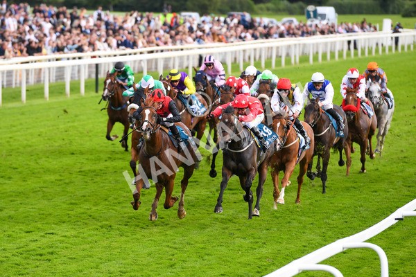 150723-Race 7-Roundhay Park-0743 - Race 7 5.30 pm John Smith's Sprint Handicap