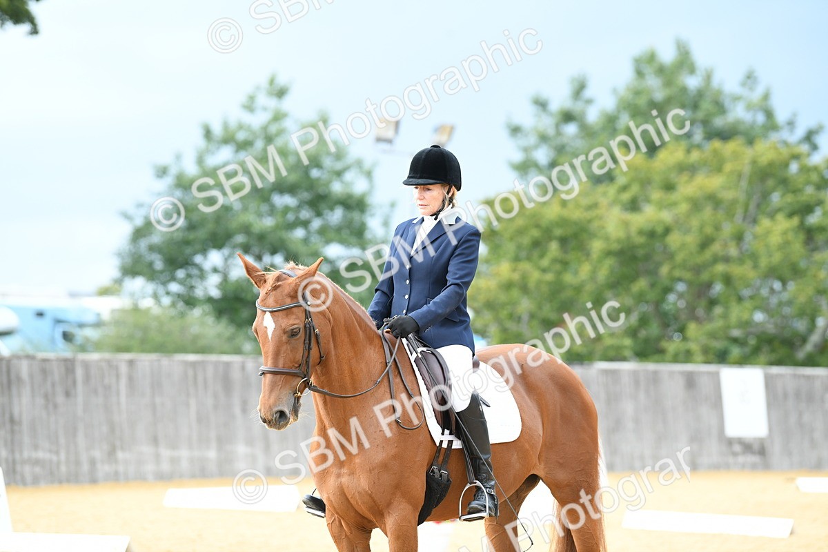 SBM_11002 - D28 Elementary Taster Elementary 42