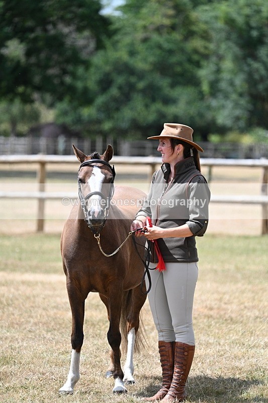 WJ7_1741 - Class 4 Prettiest Mare up to 14.2hh in hand