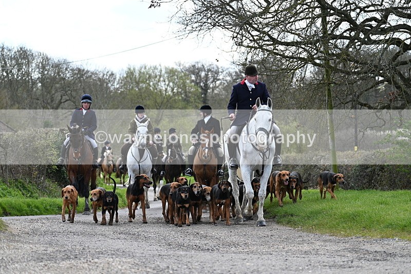 WJ7_9792 - Walk Home