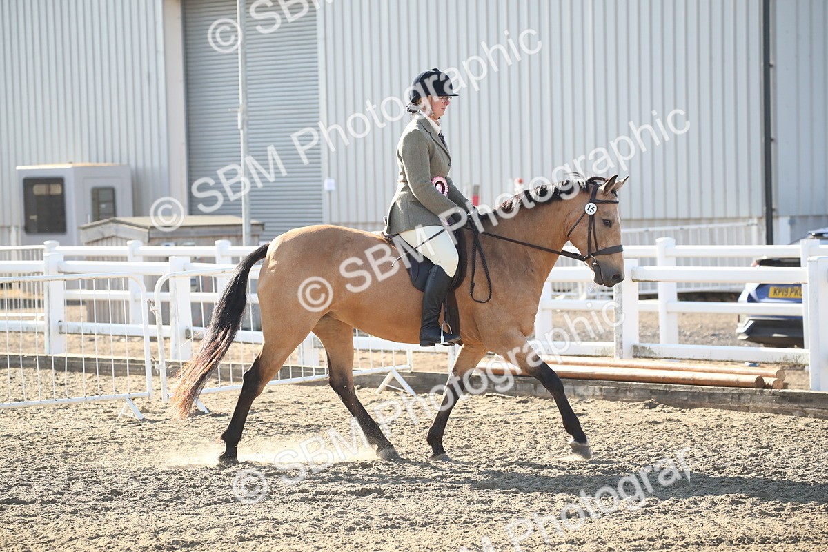 SBM_11607 - Class 502 - Riding Club Horse