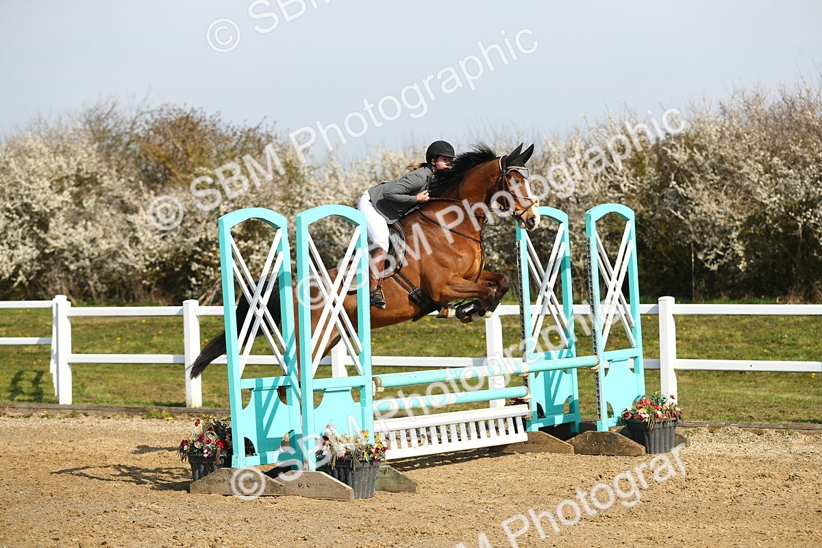 SBM_002014 - Class 8 - Senior British Novice - 90cm
