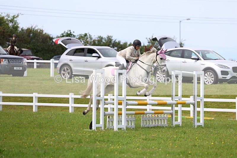 3E7A1672 - Class 13: Senior British Novice/90cm open