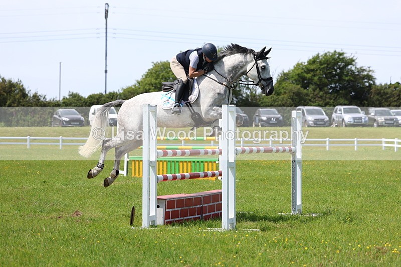 3E7A1325 - Class 12: Senior Foxhunter/1.20 open