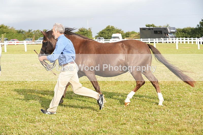DSC04434 - Classes 44 & 45: NPS M&M Brood Mare and Foal