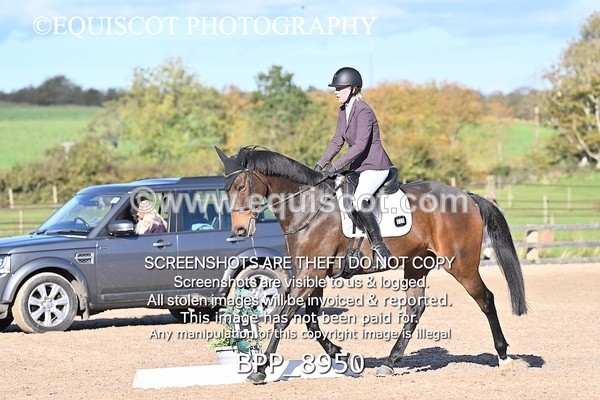 BPP_8950 - LONG ARENA