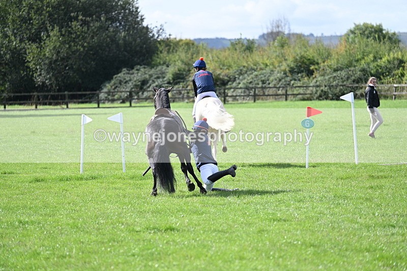 WJ7_8534 - 60cm Pairs