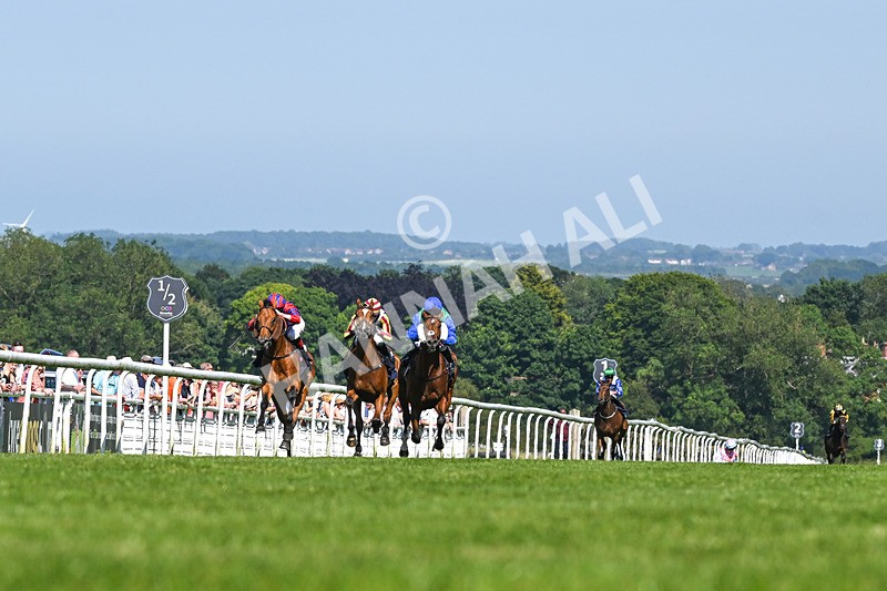 250624-Race 5-Drink Dry-9192 - Race 5