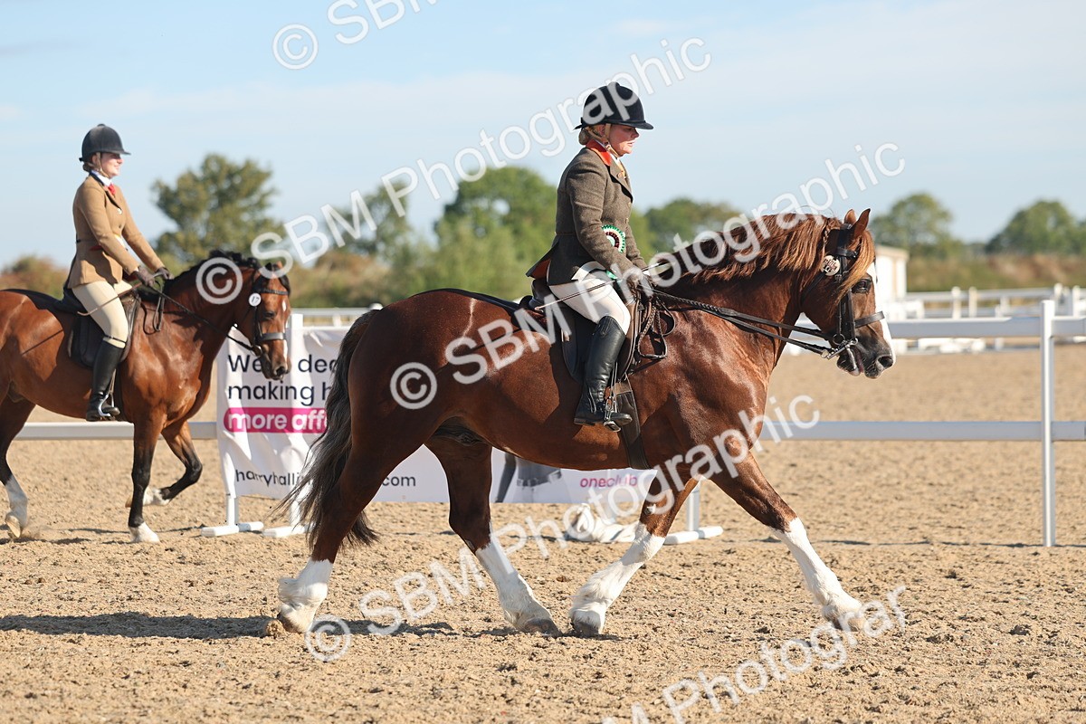 SBM_11150 - Class 302 - Ridden M&M Large Breeds
