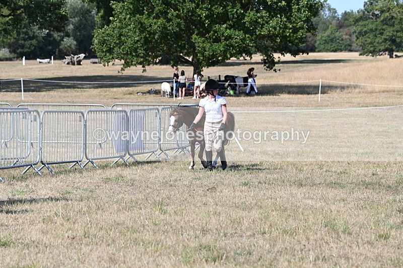 WJ6_9456 - Class 40 Cheekiest Pony/Horse