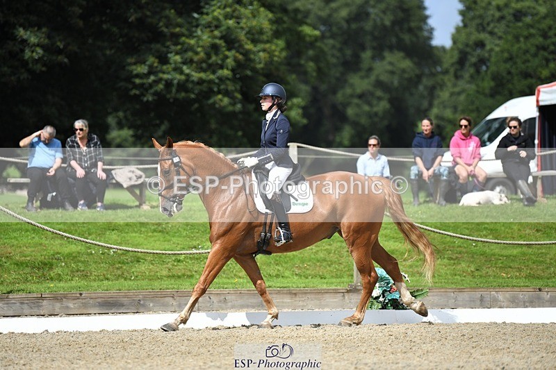 230812-112728-03631 - Cls 6 Novice Silver 10.30 to 11.55 break