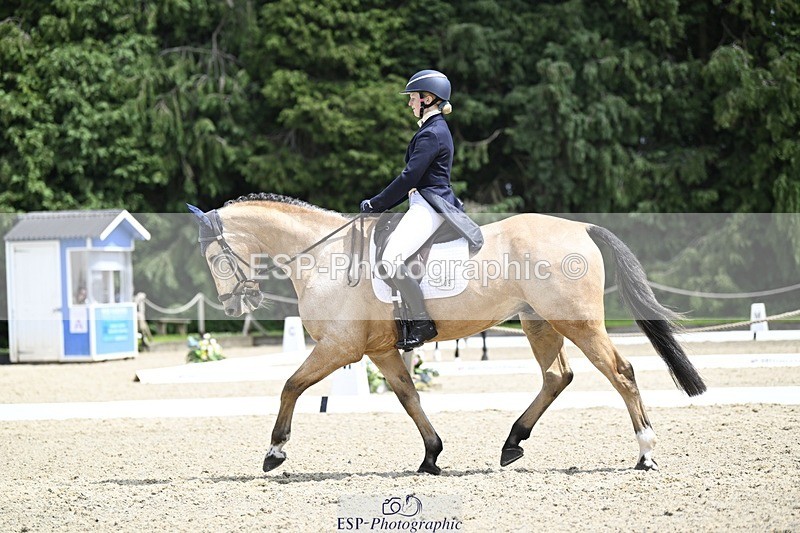 240523-133058-04805 - 109-MJM_BOBBY_DAZZLER-Rosie_Ringer