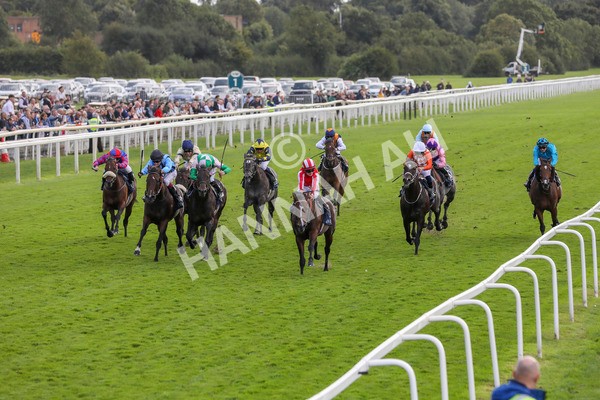 230824-Race 4-Bradsell-8395 - Race 4 3.35pm Coolmore Wootton Bassett Nunthorpe Stakes