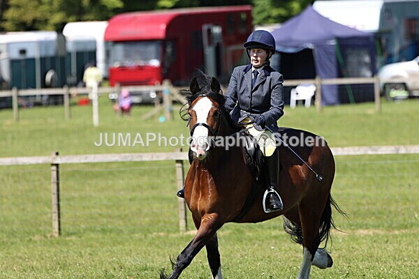 IMG_3489 - Working Hunter