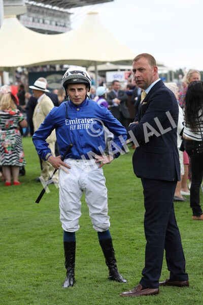 yr18082022r6-13 - Race 6 4.45 pm OR8wellness ebfstallions Nursery Handicap