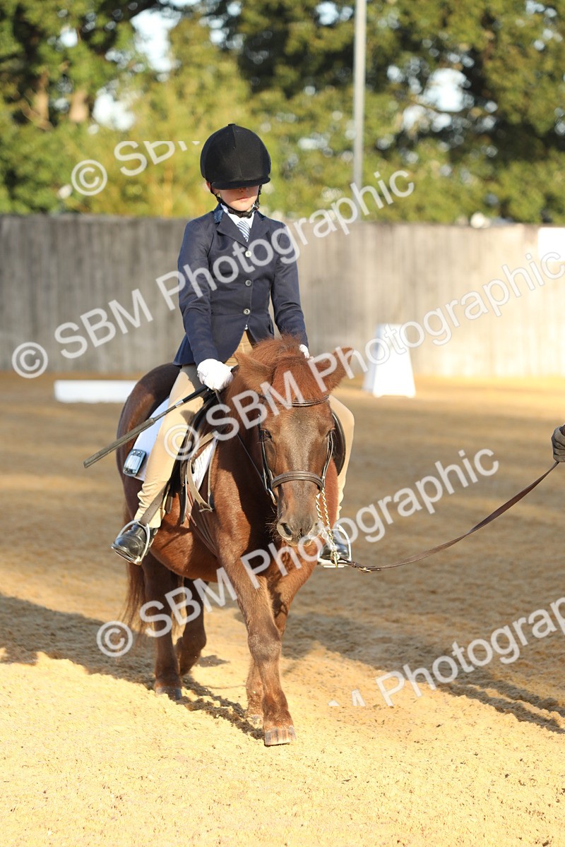 SBM_33617 - D26 - Starers - Lead Rein