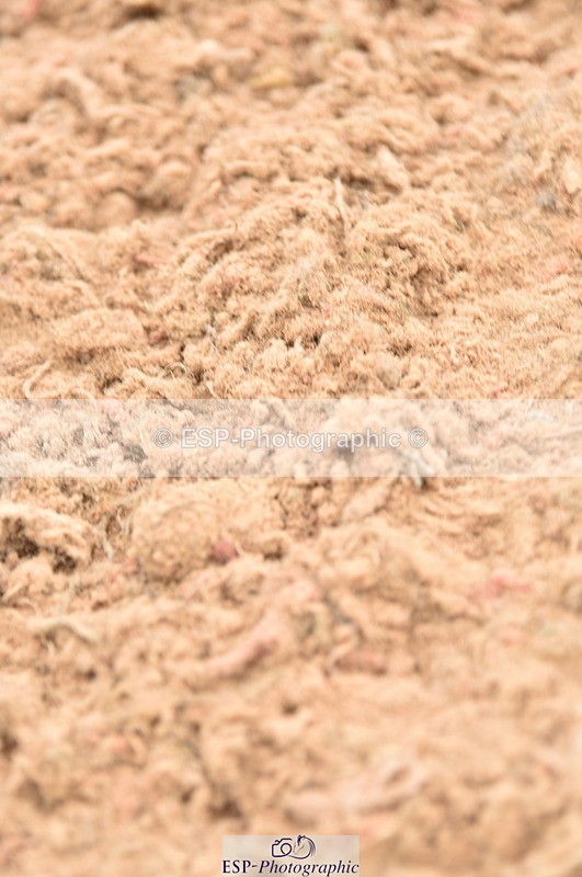 230610A-112014-02760 - Cls 23 85cm Amateur Qualifier