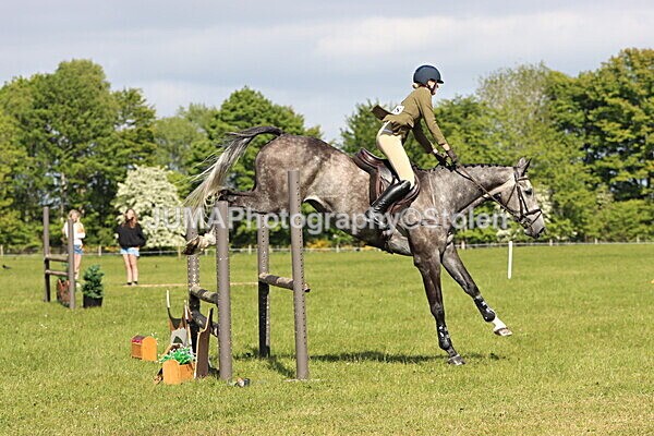 IMG_4851 - Working Hunter