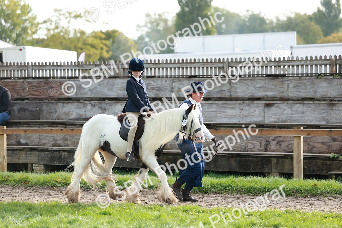 SBM_56295 - S39 - Starters In Hand Showing