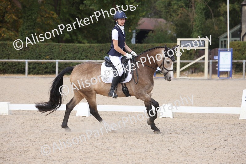 20260816-1158 - Class 4 - Novice 6