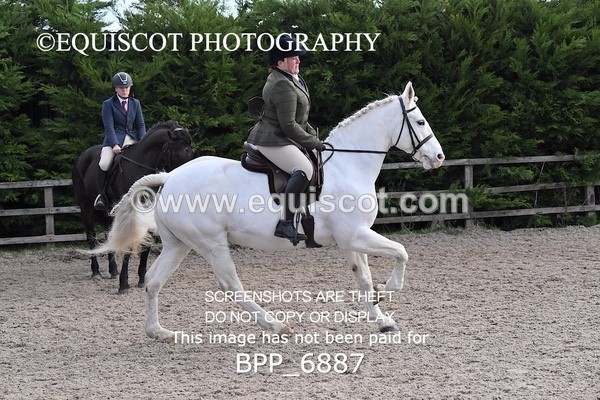 BPP_6887 - RING 1  (RIDDEN HORSES / IN HAND / VETERAN ETC)