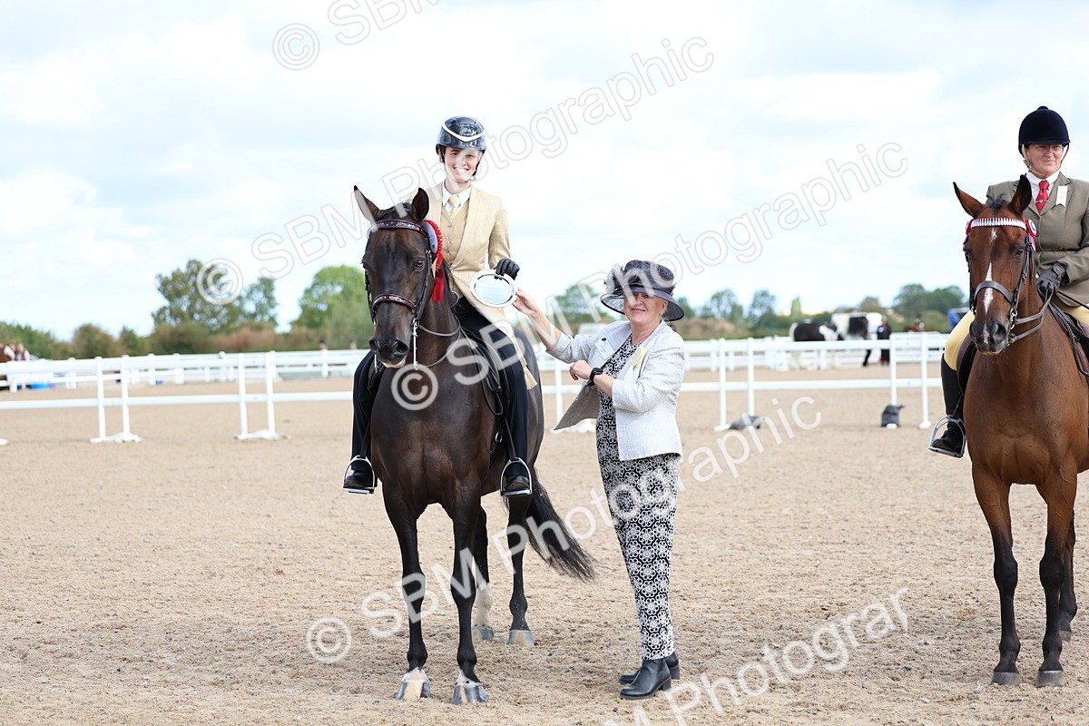 SBM_09174 - Class 303 - Ridden Pure Bred Horse Pony