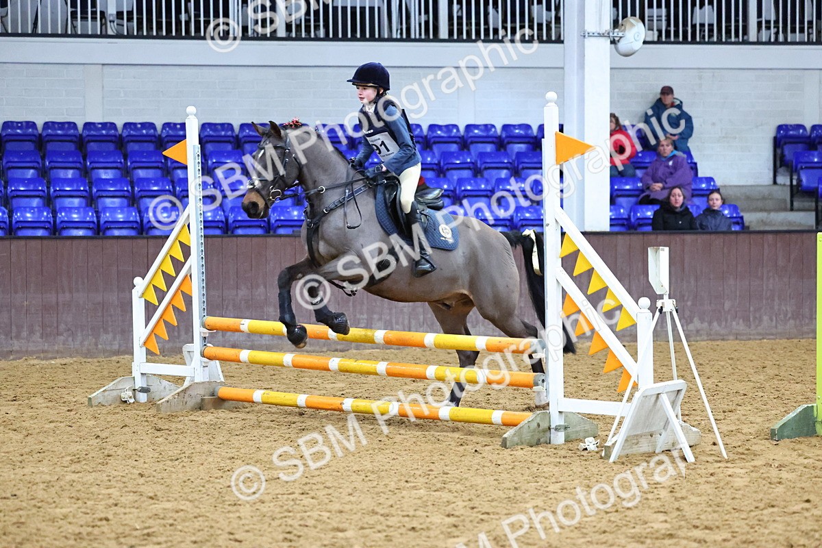 SBM_001285 - Class 3 - Christmas Tree Stakes - 60cm