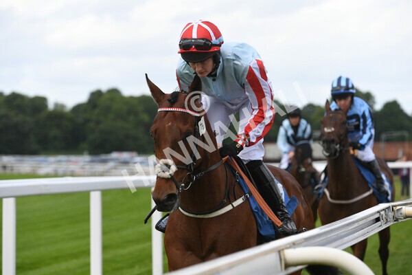 yr11062022r2-16 - Race 2 2.00pm Queen Mother's Cup