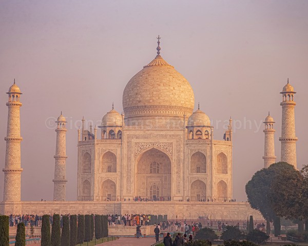 tigers-631 - Architecture of India