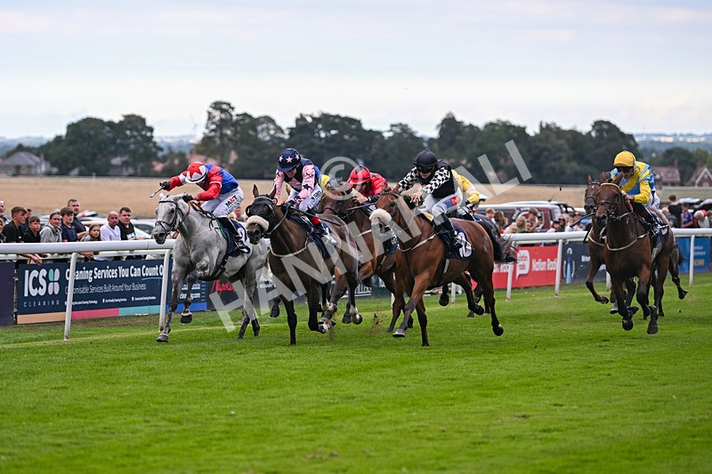 290725-Race 7-King Sharja-1254 - Race 7