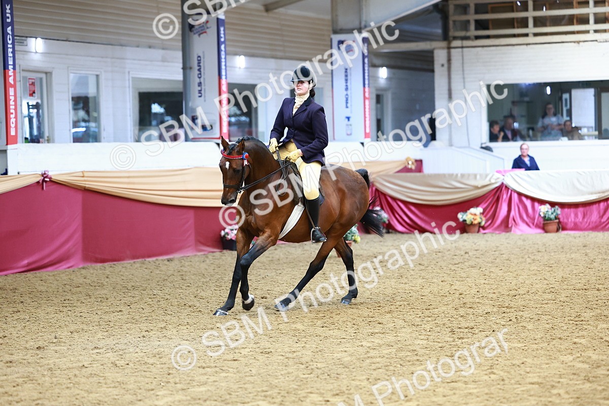 SBM_23758 - Class 905 - Supreme Final - Ridden Veteran