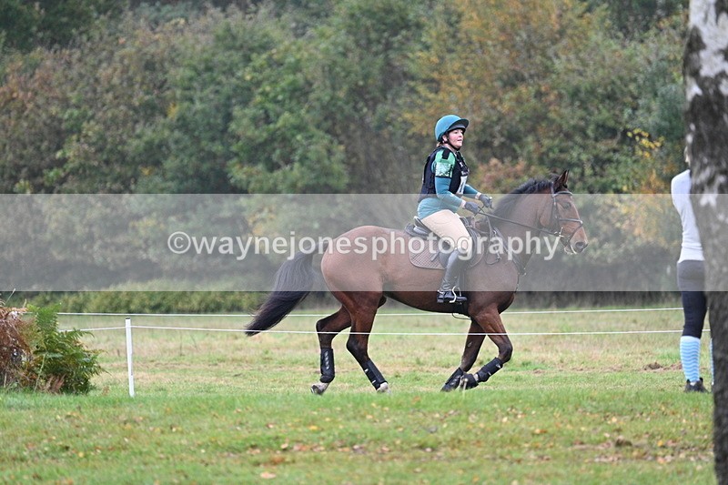 WJ7_0917 - 80cm Cam 2 Water Time 11:08 to 11:28