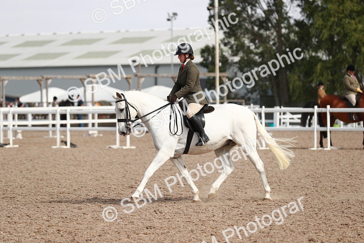 SBM_14891 - Class 212 Ridden Hunter - Small