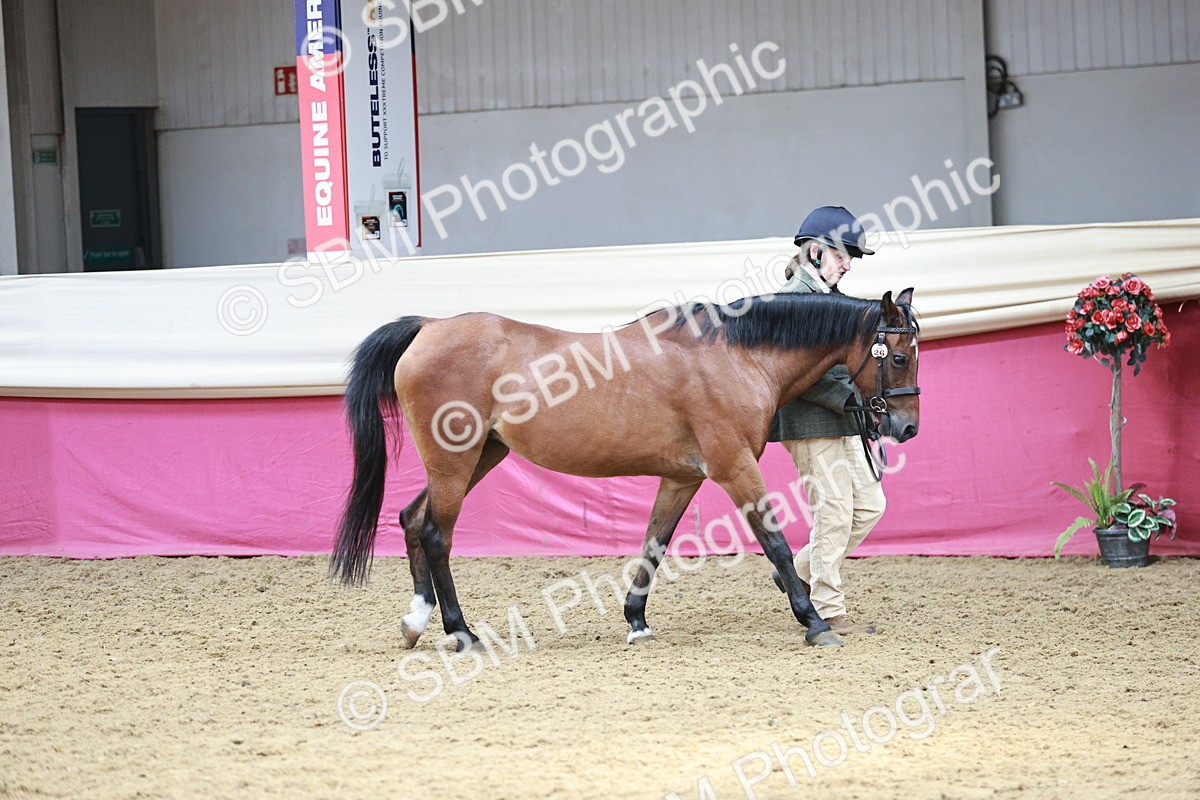 SBM_04722 - Class 7R - Regional IH Diamond