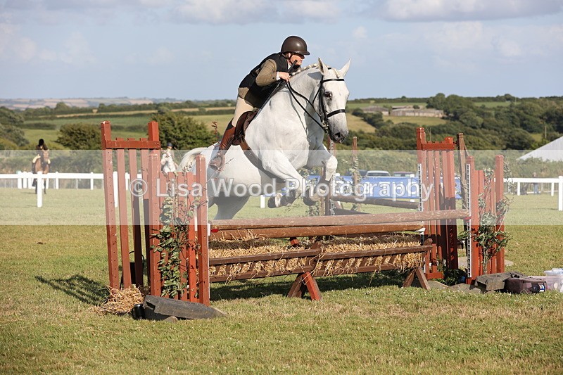 JPP_3343 - Class 22: Working Hunter 90cm