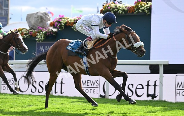 210825-216 Stellar Sunrise - Race 6 4.45pm Mews Hotel Ossett EBF Stallions Nursery Handicap