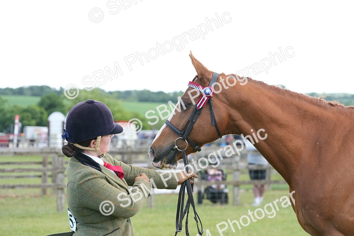 SBM_12953 - Class 99 - RIHS SEIB Working Show Horse