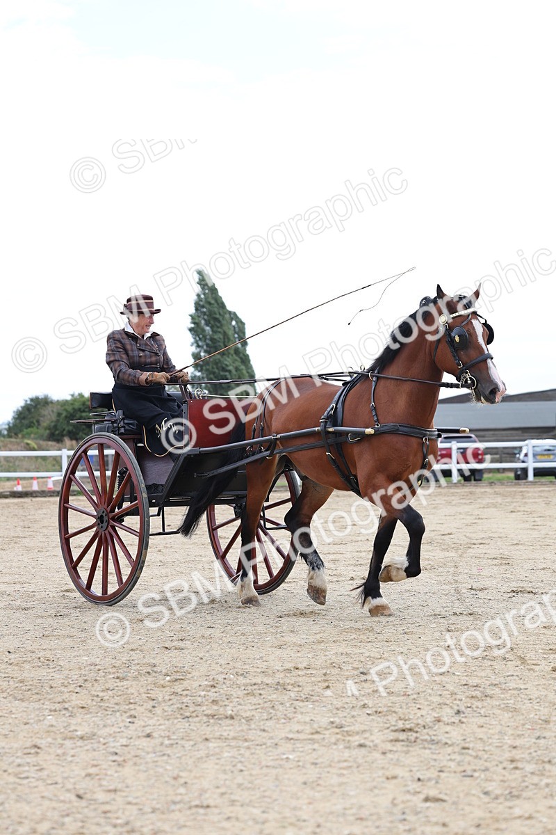 SBM_000757 - Class 6 - Exercise Vehicle 13.2 and over