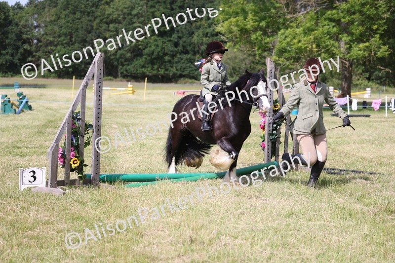 20260614-0618 - Class 20 - Beginners Working Hunter Pony