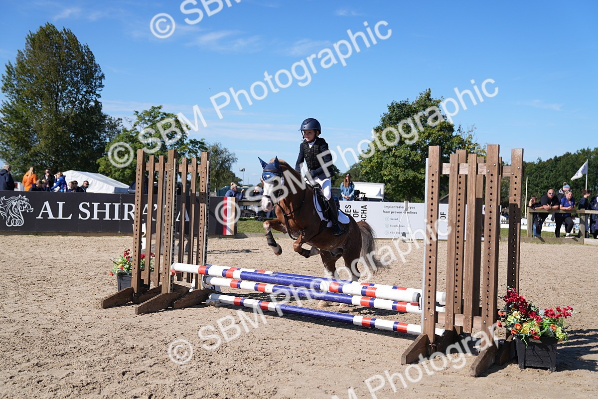 SBM_19439 - J57 - Clear Round 50cm