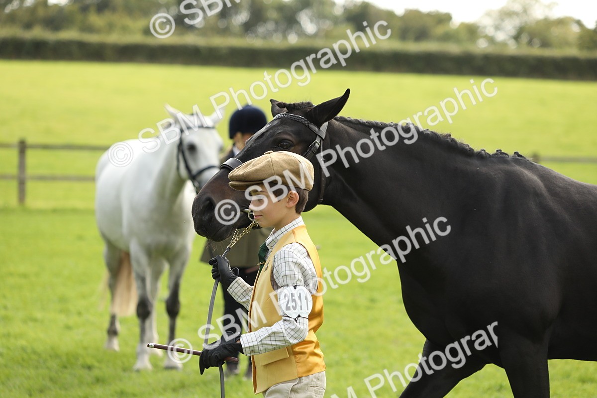 SBM_68698 - S40 - Junior Handler 9-12 Years