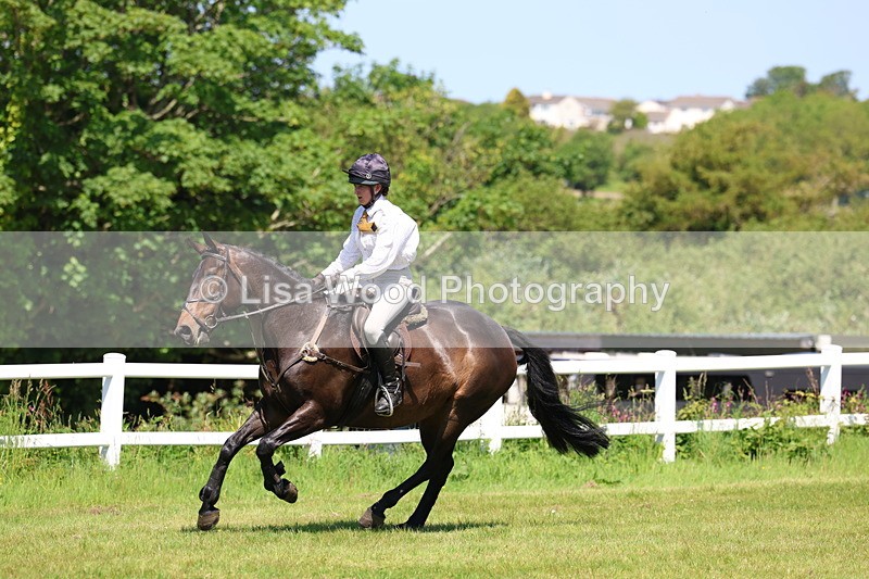 3E7A7065 - Class 30: Novice Working Hunter